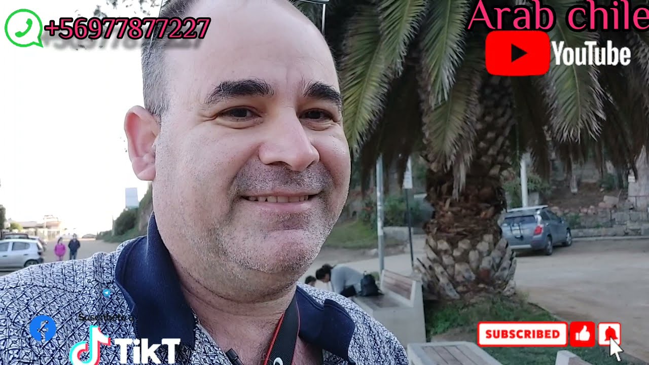 شو  سر العلم الفلسطيني .جوهره المدن الساحليه في تشيلي papudo القديم و الحديث