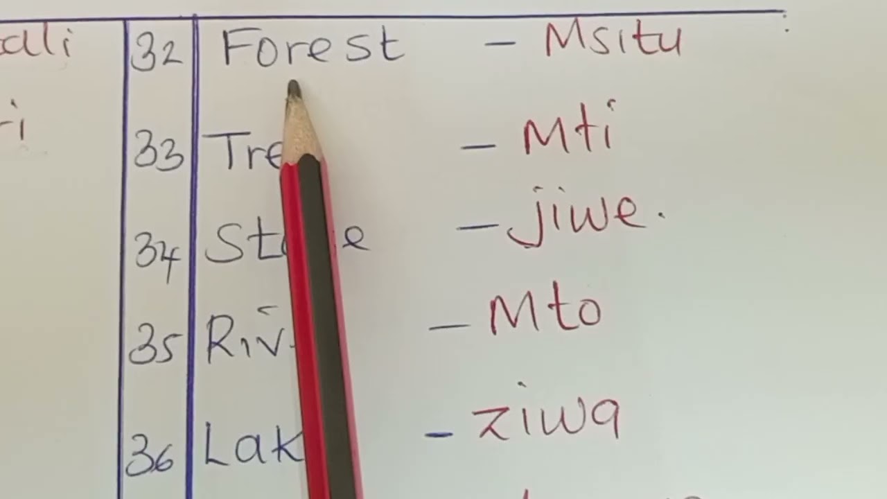 Common Swahili Nouns
