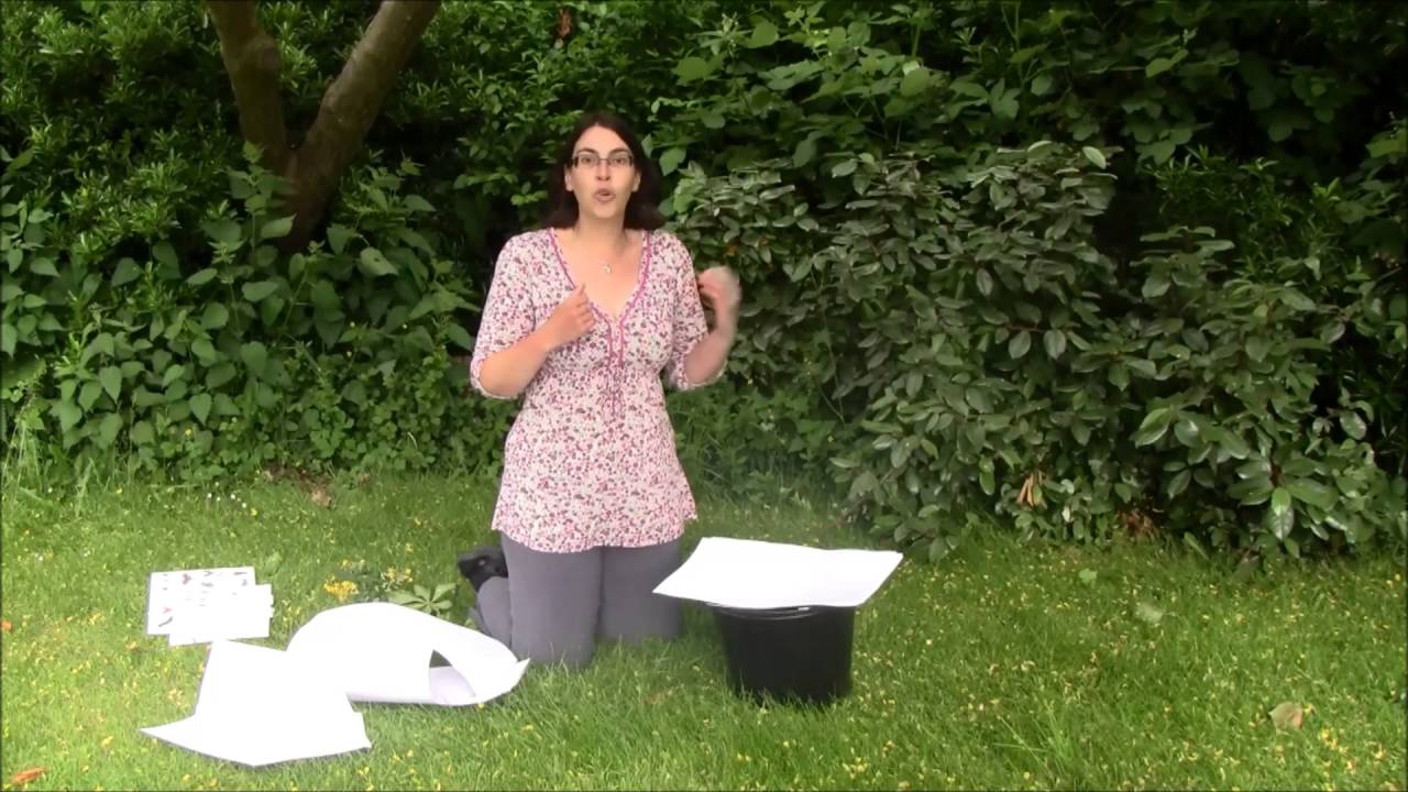 Anne Moth trapping