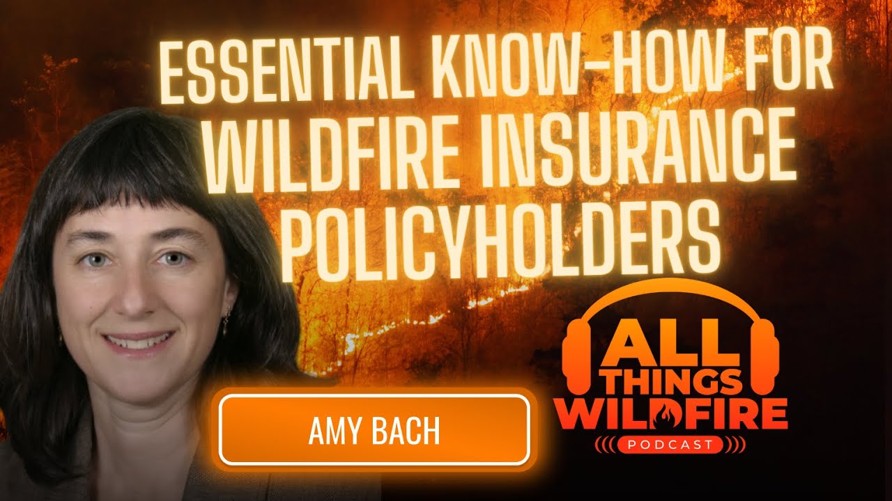 Essential Know-How for Wildfire Insurance Policyholders