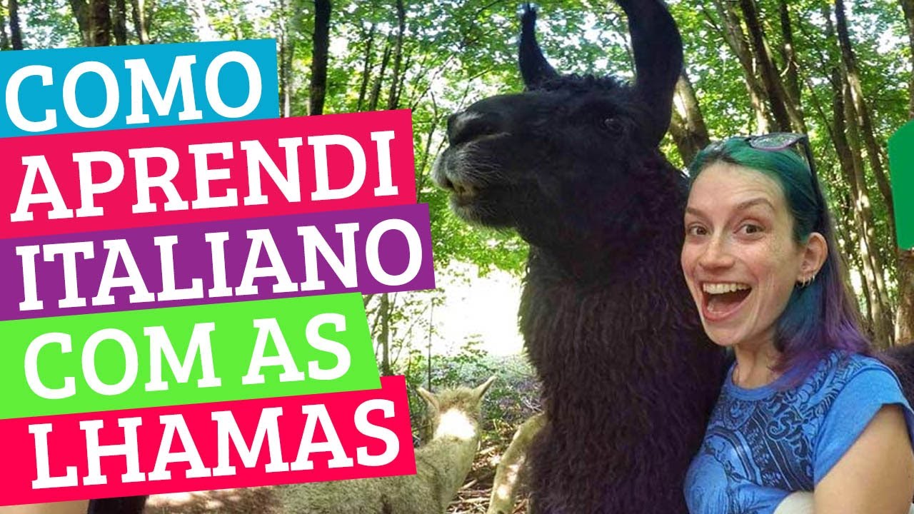 Como aprendi ITALIANO SOZINHA - experiência Workaway na Itália com lhamas