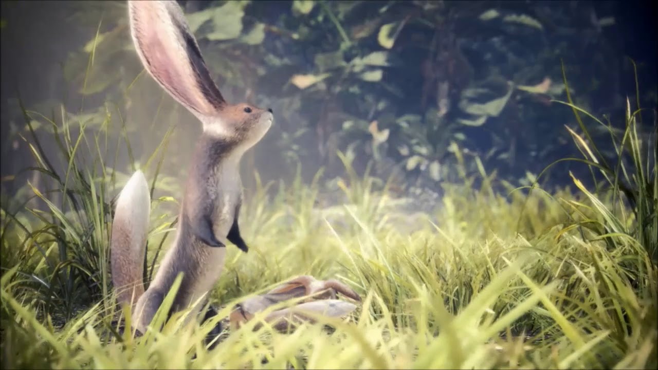 【MHW】エンディングムービー　ラスボス攻略後から【モンスターハンターワールド】