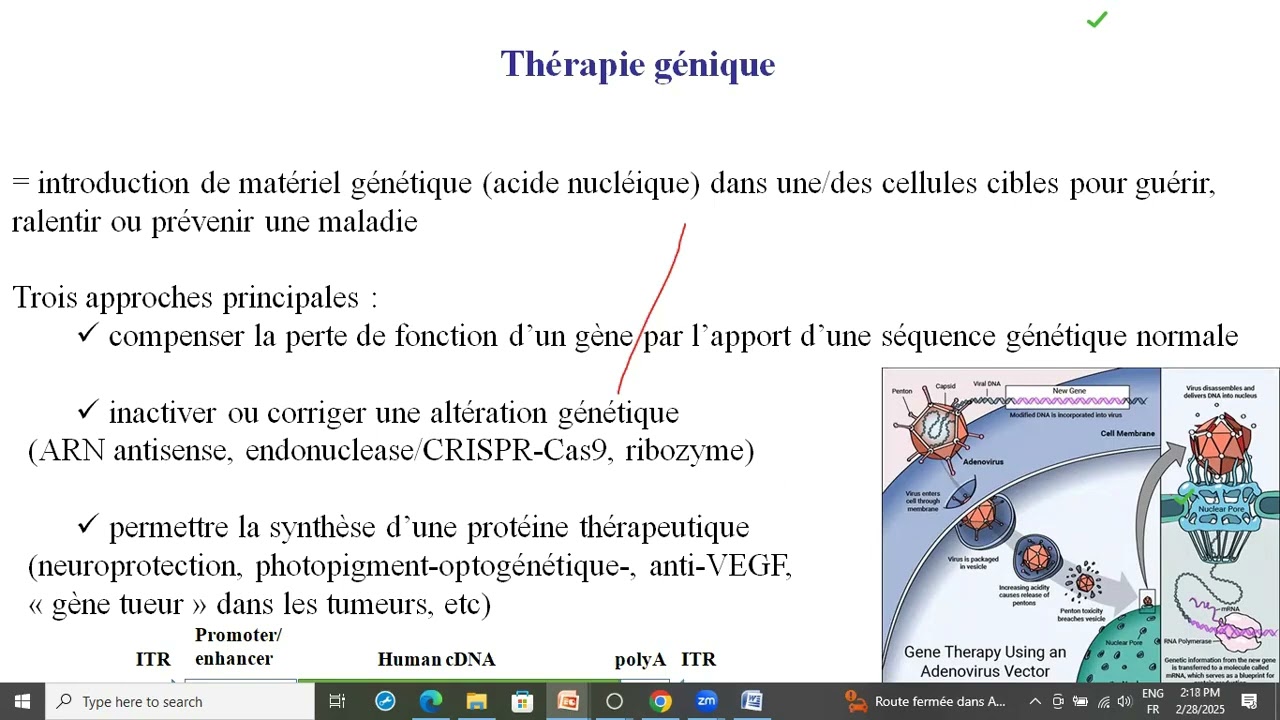 Après midi des patients - 28 février 2025 (1e partie)