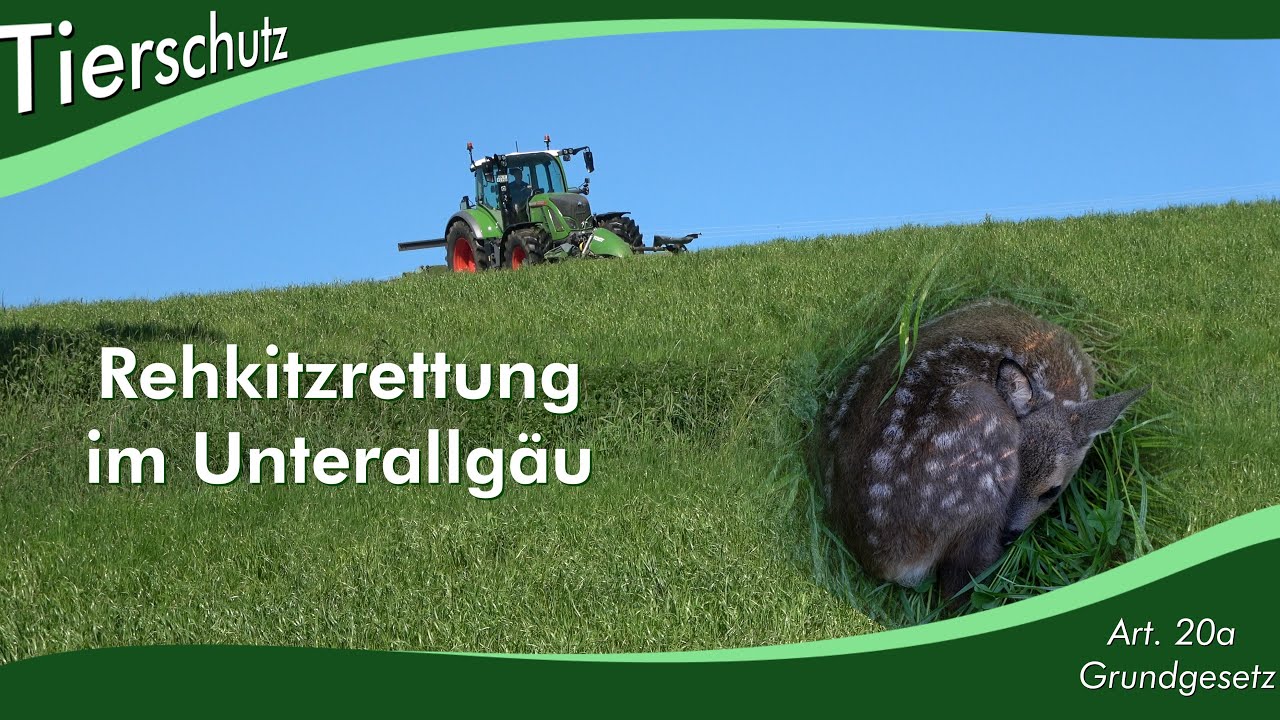 Rehkitzrettung im Unterallgäu