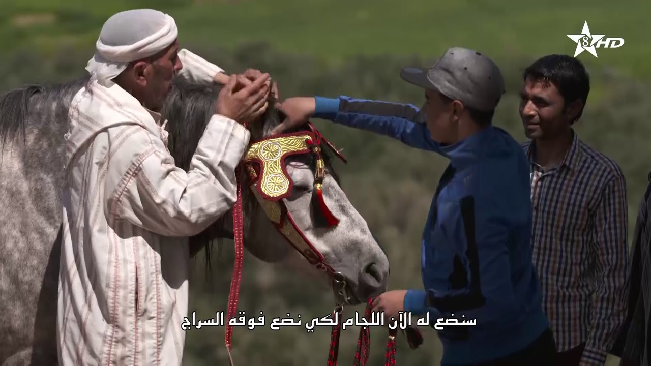 EP 29 احيدوس تيغسالين TAMAWAYT