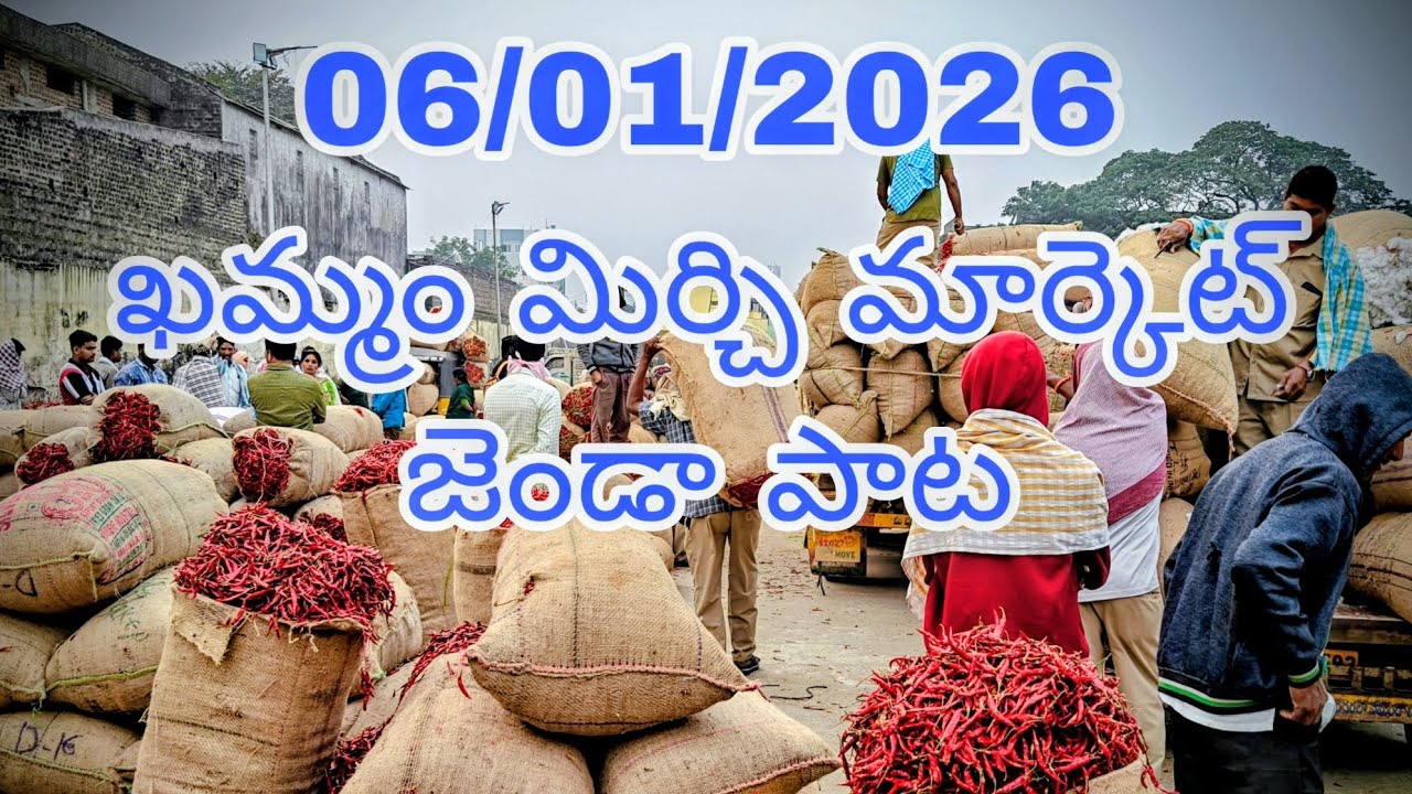 06/01/2026 KHAMMAM  MIRCHI  MARKET TO DAY PRICE JENDA PATA.