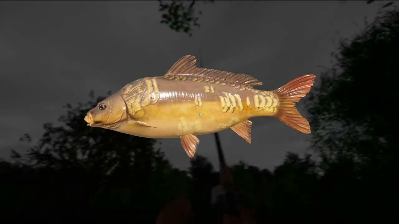 Russian Fishing 4  Neuer Spot am Kupfer See