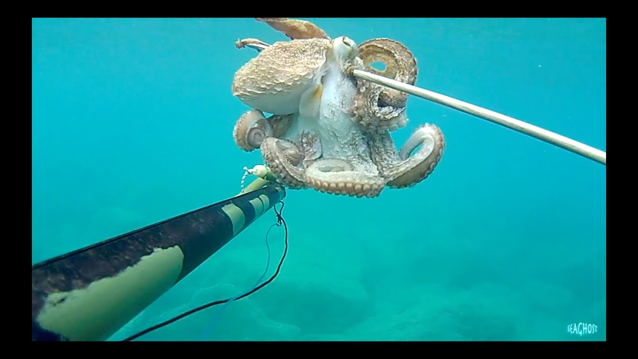 Pesca Sub: 