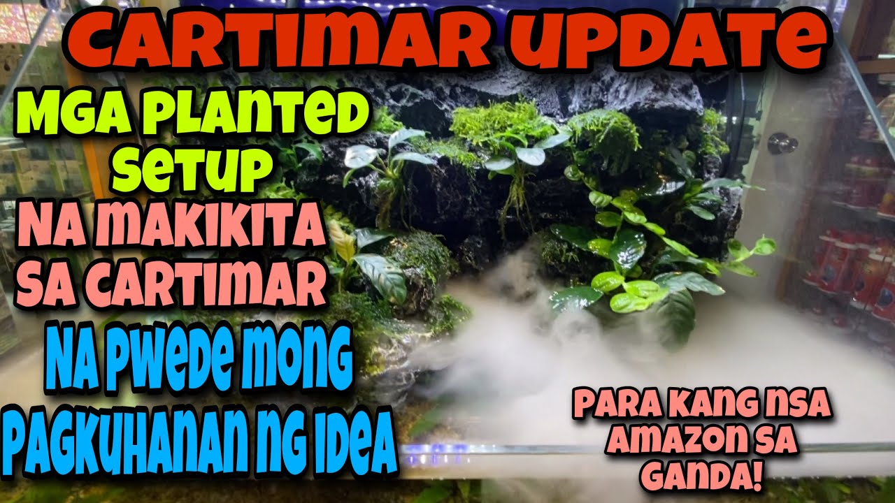 CARTIMAR UPDATE DEC.9 2021|MGA PLANTED SETUP NA PWEDE MONG PAGKUHANAN NG IDEA AT PRESYO NITO!😱