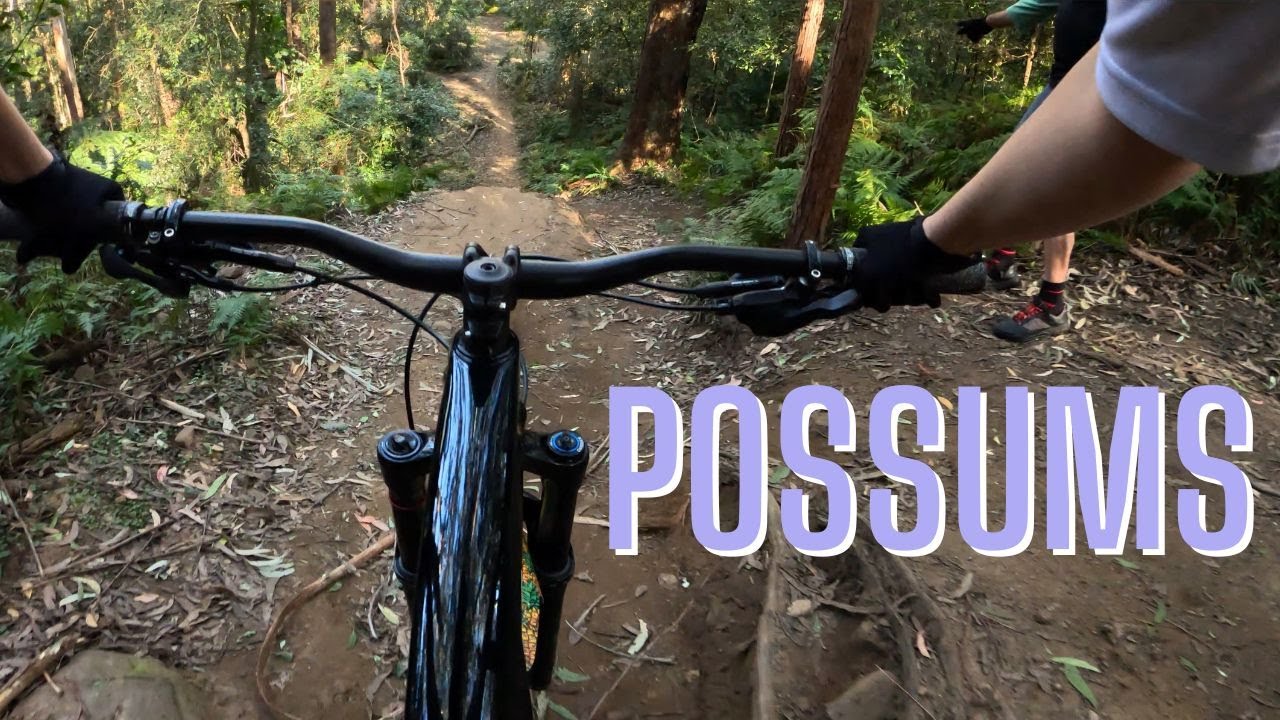 My favourite MTB trails at Possums