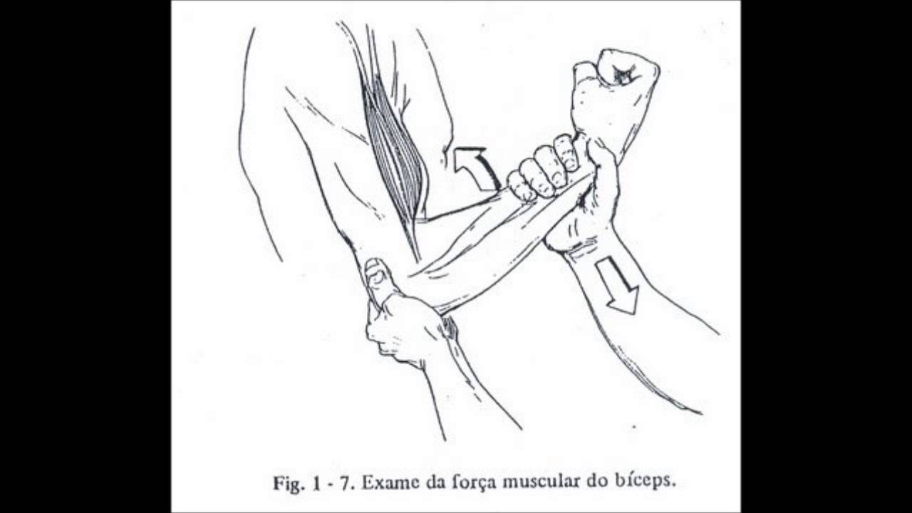 Força muscular qualitativa