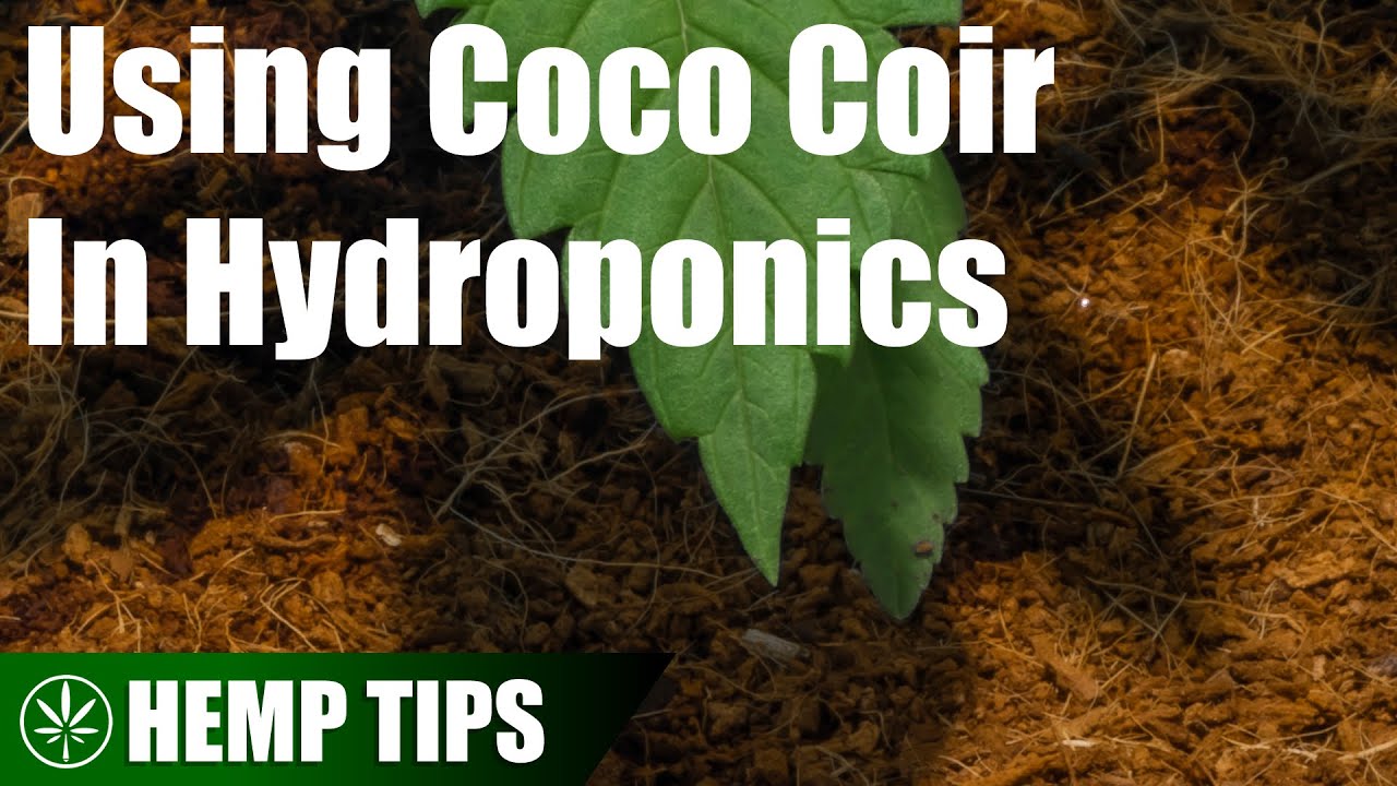 How to Use Coco Coir In Hydroponics