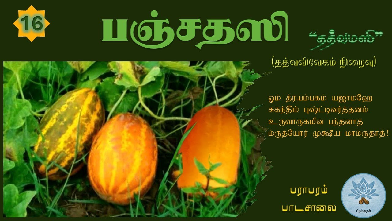 பஞ்சதஸி (வகுப்பு - 16) Panchadasi - Class.16