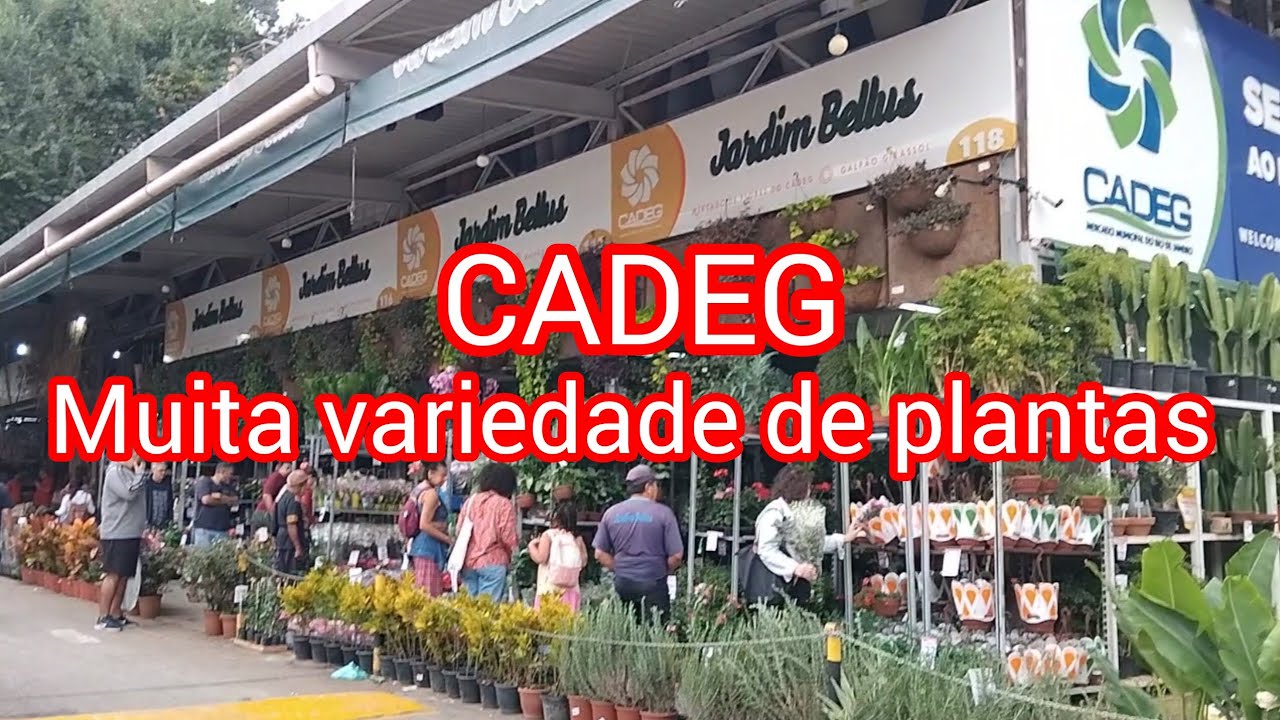CADEG RIO-Muitas #plantas lindas!#viralyoutubevideo #viral #flores #suculentas #casa #jardim #fyp 