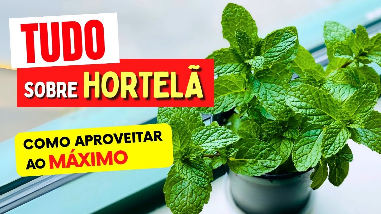 BENEF&Iacute;CIOS DA HORTEL&Atilde; que voc&ecirc; VAI AMAR! Como Usar, Propriedades e Dicas