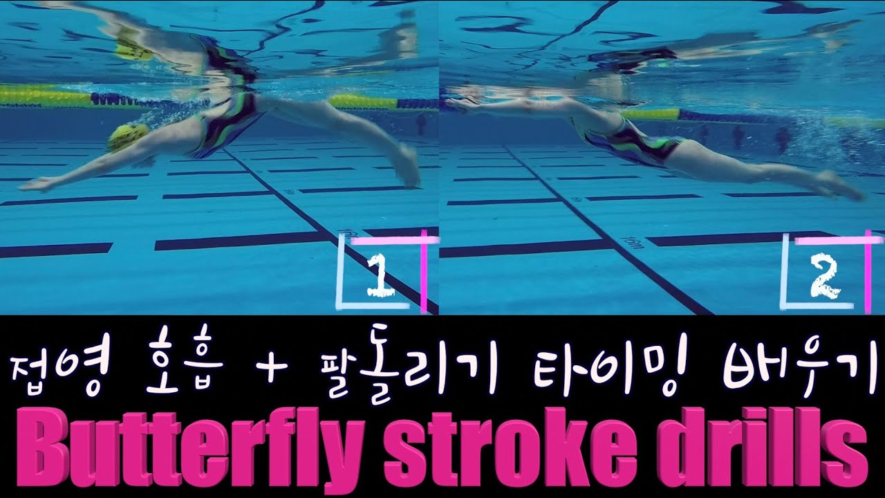 ENG) 이현진 수영/ butterfly swimming drill / how to butterfly stroke /접영 연결동작/접영호흡/접영드릴/이현진 수영