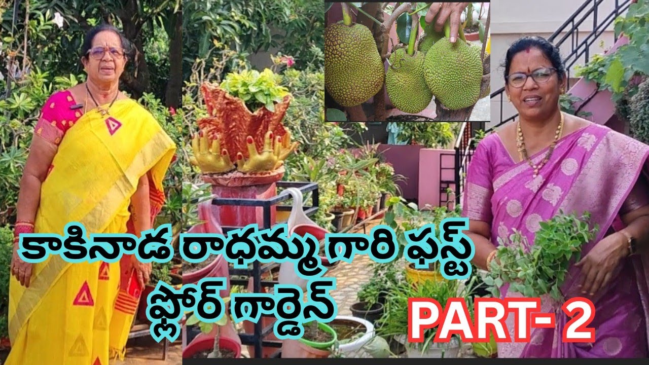 కాకినాడ రాధమ్మ గారి ఫస్ట్ ఫ్లోర్ గార్డెన్, పార్ట్ 2  #