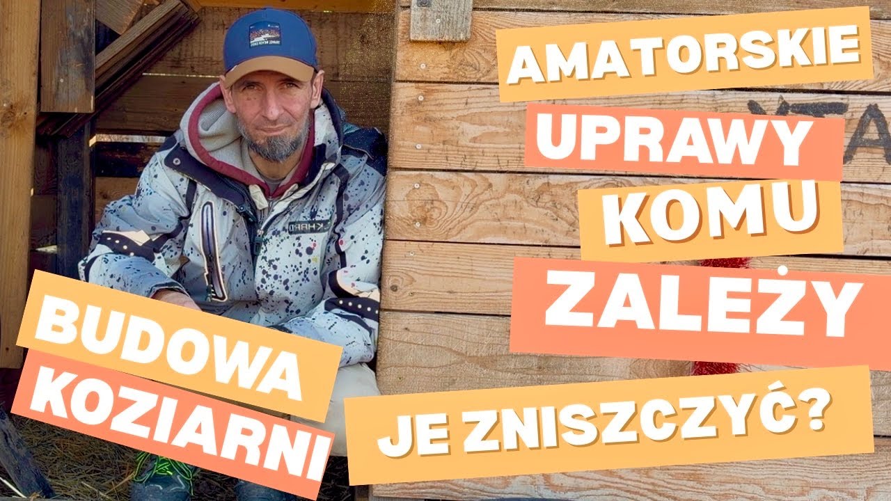 Budujemy dom dla KOZIOŁKA, pierwsze WYSIEWY warzyw i o tym co się dzieje w ogrodnictwie.