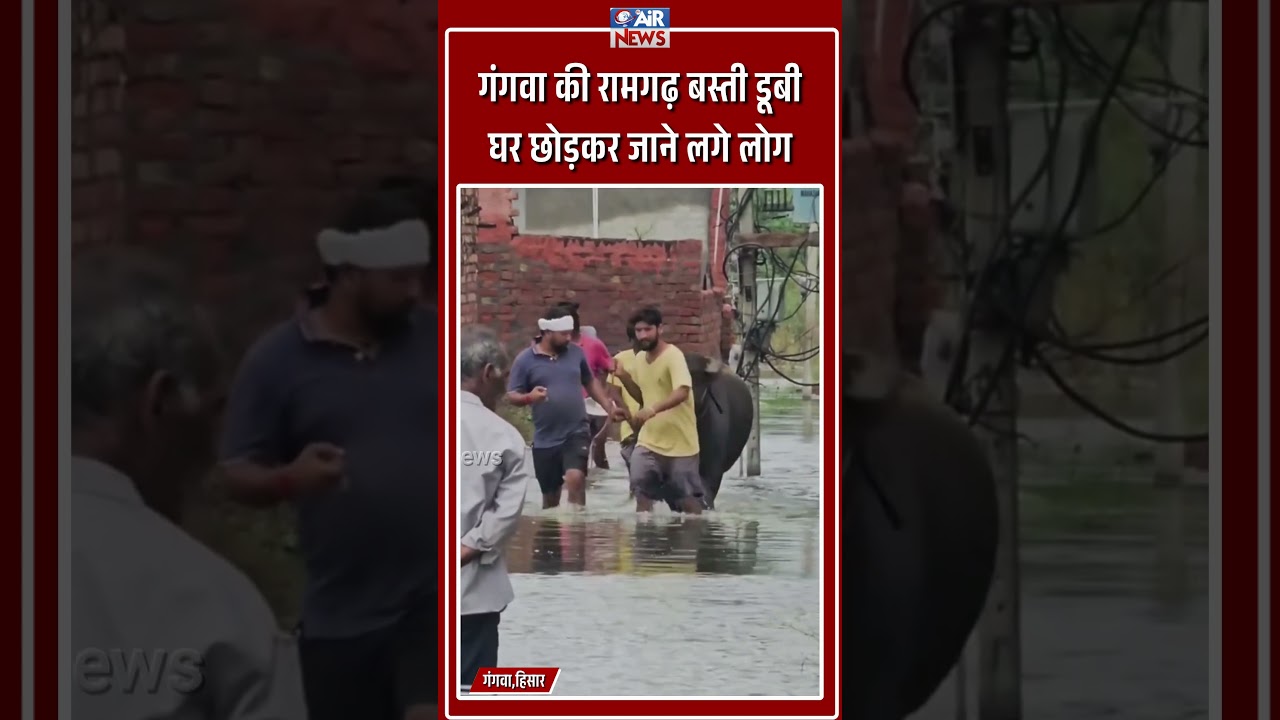 gangwa ki ramgarh basti doobi | The Airnews | Hisar news | Flood News | Haryana News | Breaking News