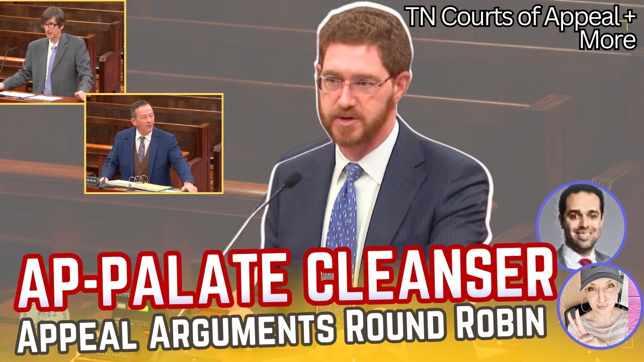 Appeal Arguments - Casual Court Watch with Happily Angry Lawyer + KattNotWilliams