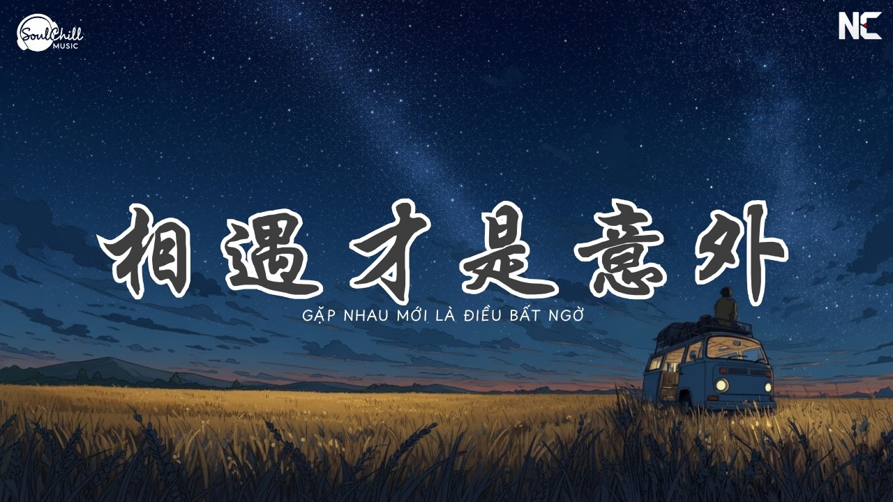 相遇才是意外 - 挞挞 | Gặp Nhau Mới Là Điều Bất Ngờ - Thát Thát ♪【Vietsub｜Engsub｜高质音乐｜拼音动态歌词】♪