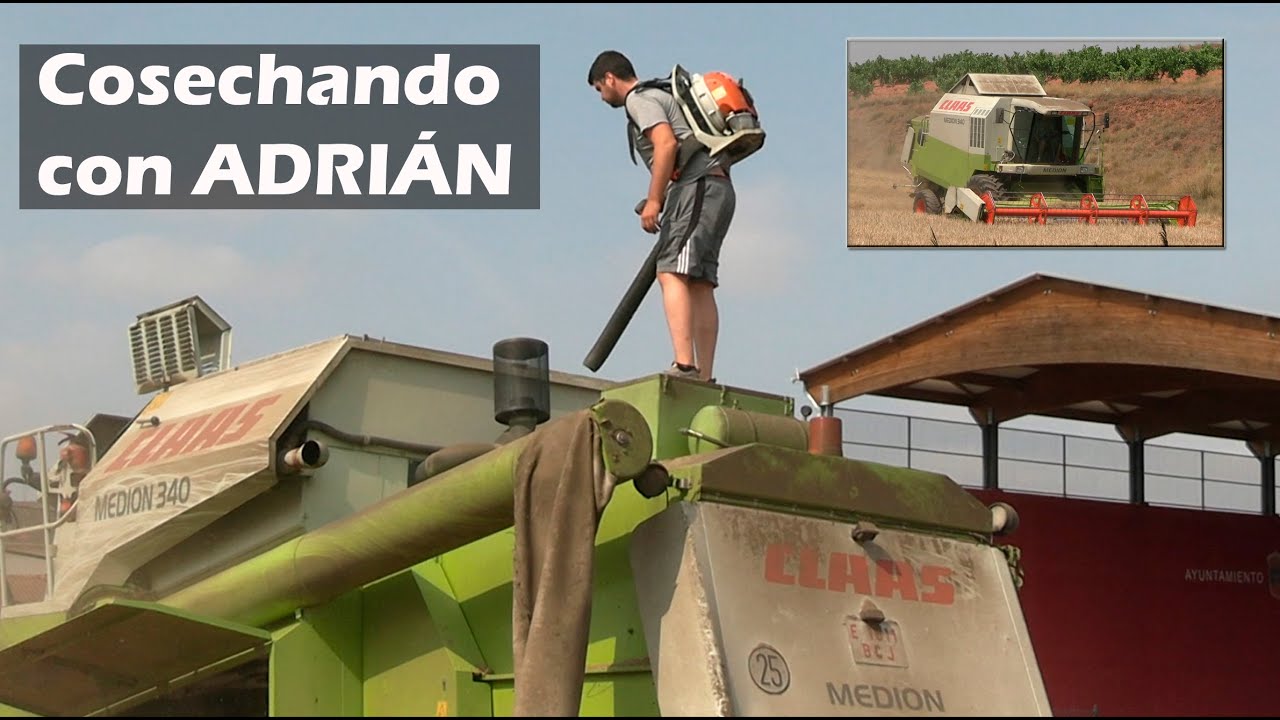 Cosechando con Adrián - CLAAS MEDION 340