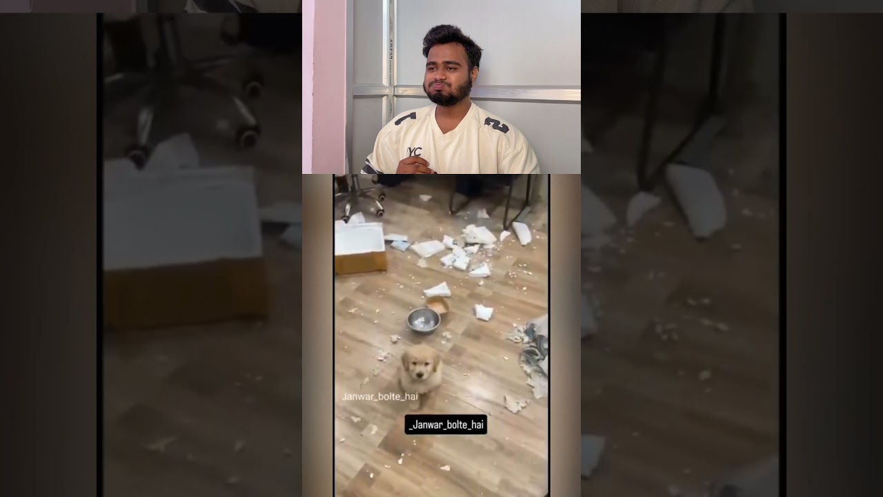 Try to don’t laughing 