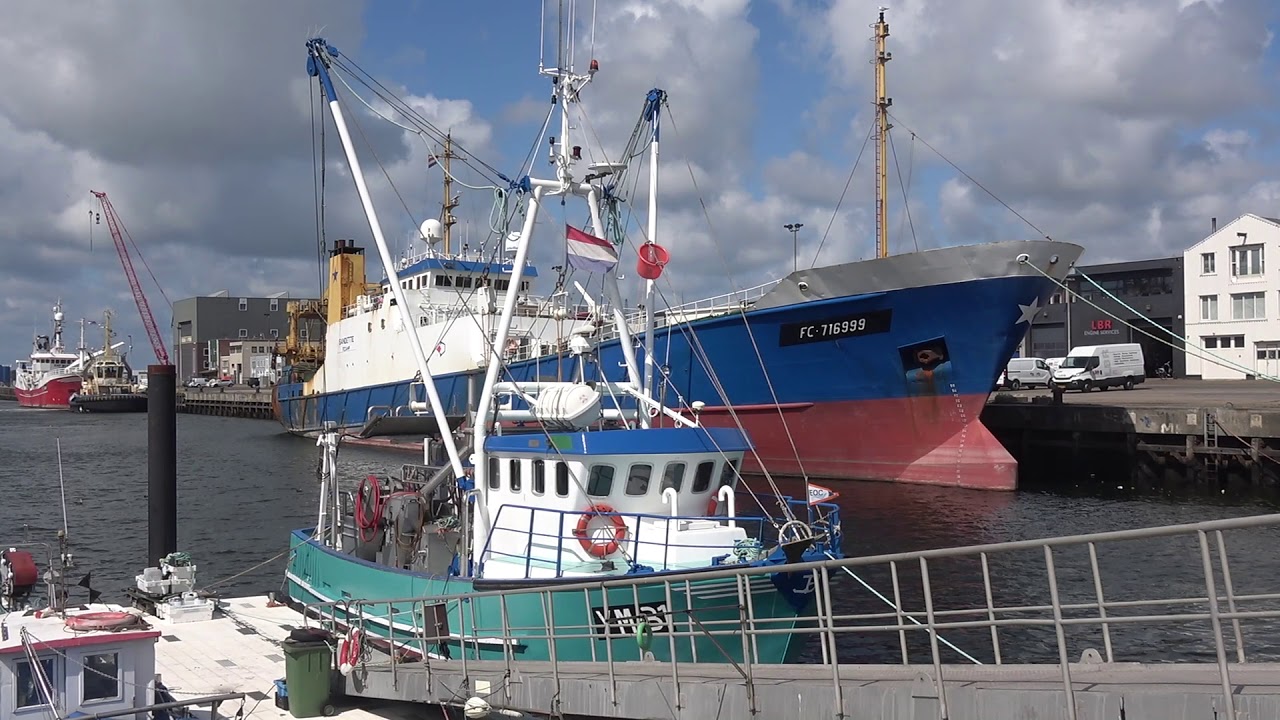 Een gemeente met veel gezichten: Vissershaven IJmuiden