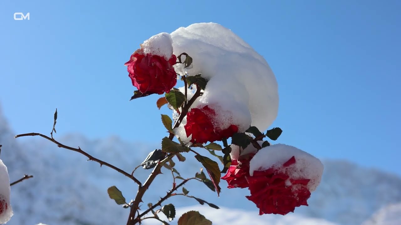 زستانی دەرگەڵە
