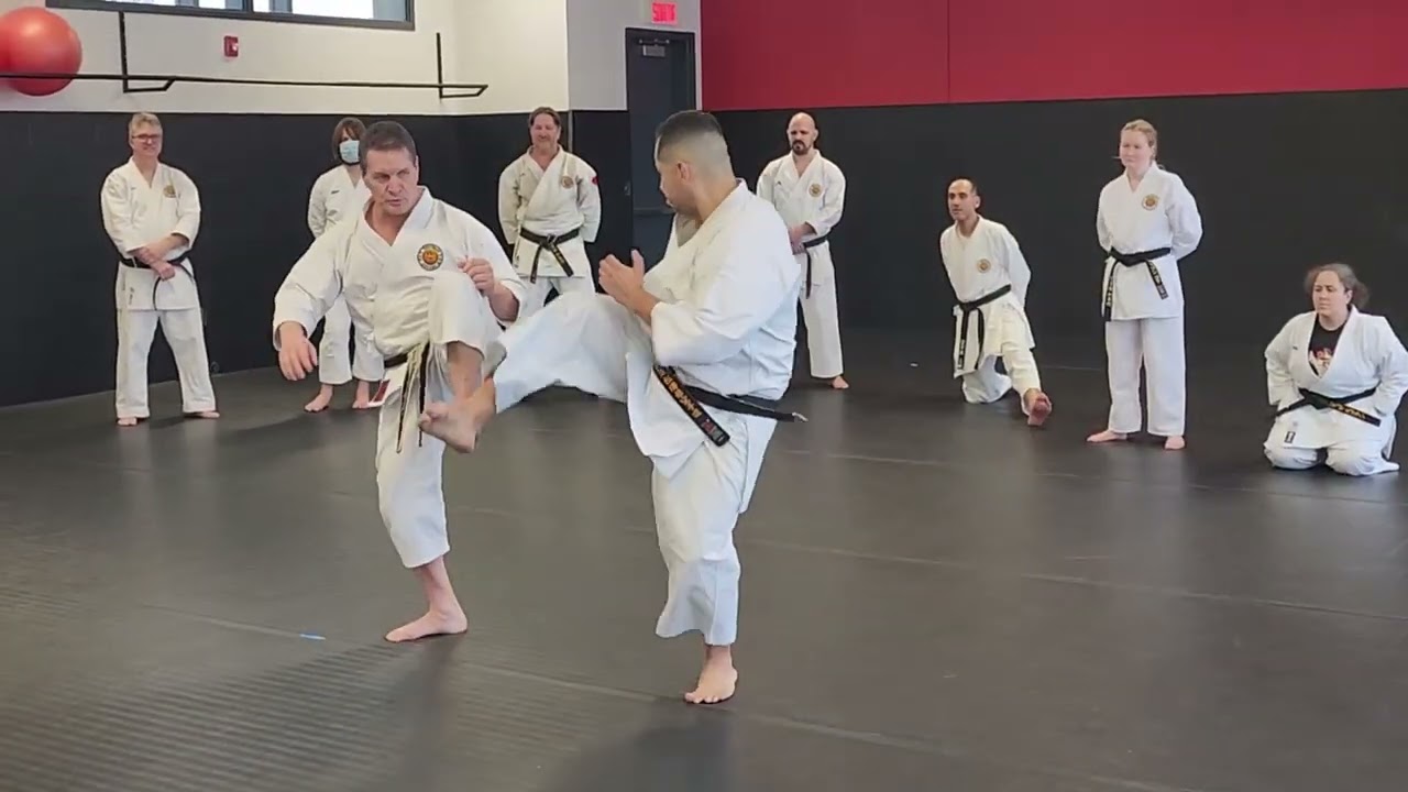 Cours Hangetsu 15 fév. 2025