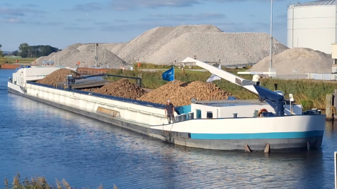 Binnenvaartschip de MARELIE met tijdelijke stuurhut voert suikerbieten aan in Hoogkerk. ⚓️⚓️