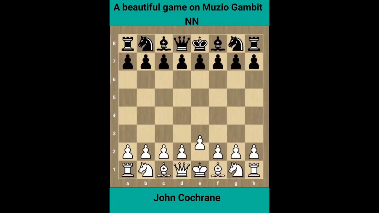 NN vs john cochrane | 1 - 0 | A beautiful game on muzio gambit
