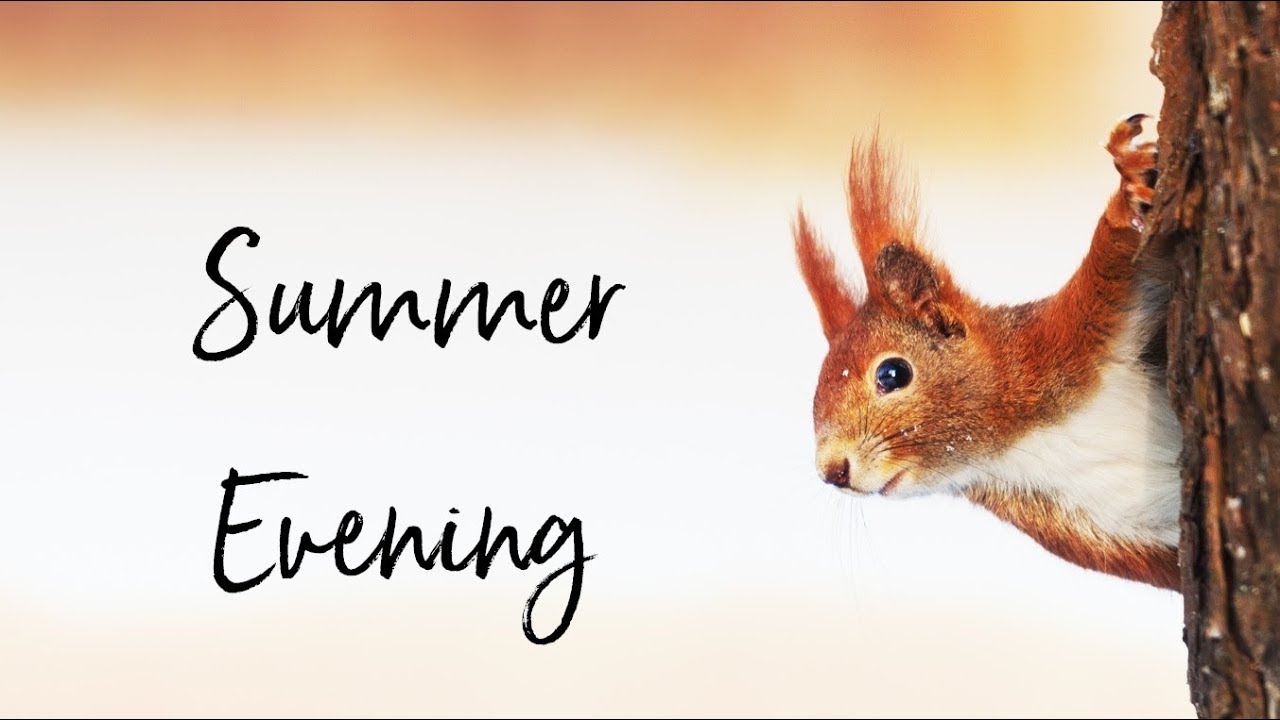Klaviernoten für Anfänger: Summer Evening (Piano Solo) - Charming Moments Vol. 1 - S. Labsch