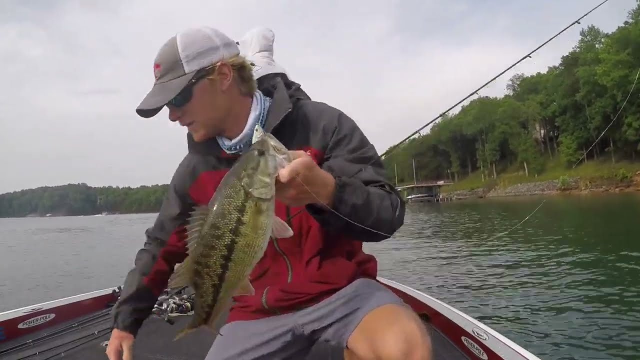 HERRING Spawn on Lake Lanier
