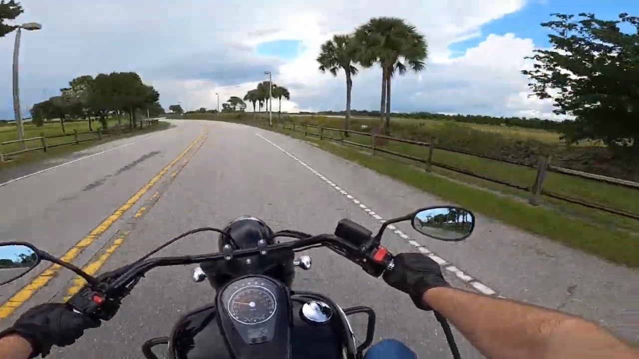 Suzuki C50 Pure Sound