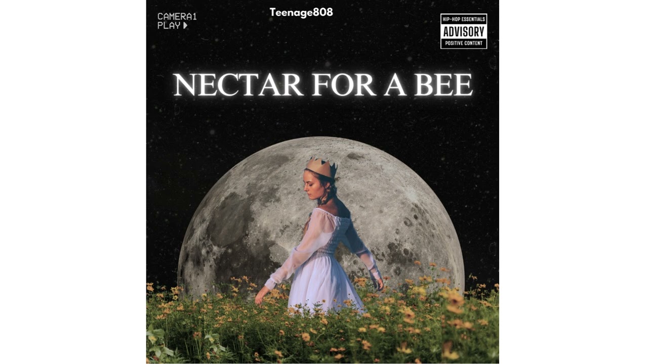 Teenage808 - Nectar for a Bee || ENCORE ABJ x Frappe Ash type beat|| Chill Type Beat 2025