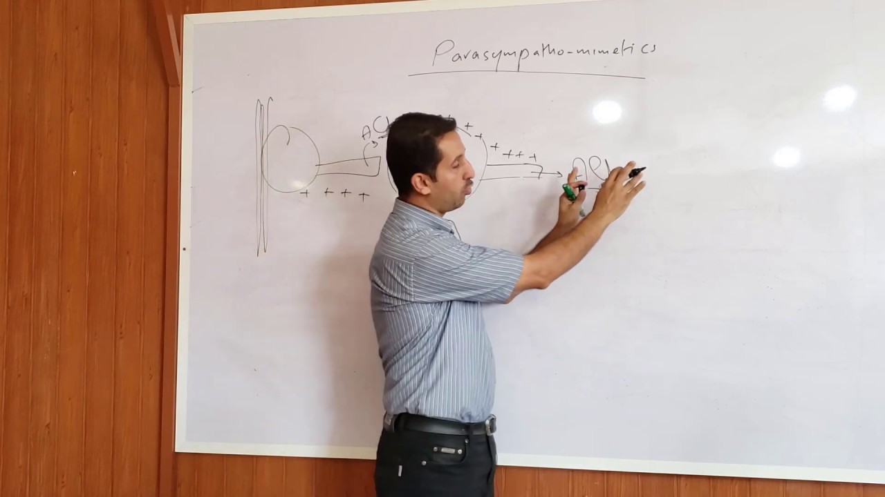 Parasymathomimetics & Choline Esterase Inhibitors: Autonomic N.S. Pharmacology (uses, Side effects)