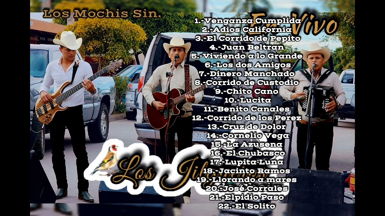 Los Jilgueros de Choix | en VIVO | Vol. 2