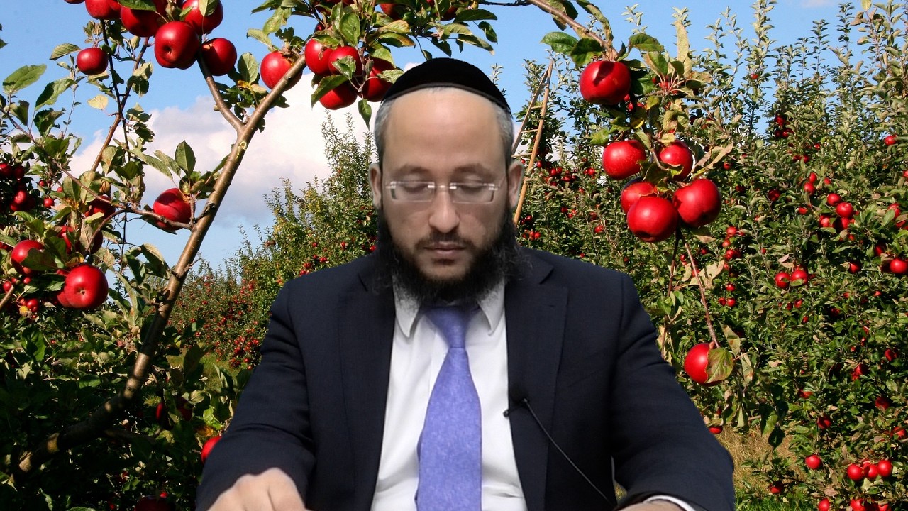 מתי אין צורך לעשר פירות | הרב אברהם חדאד | ארץ חמדה