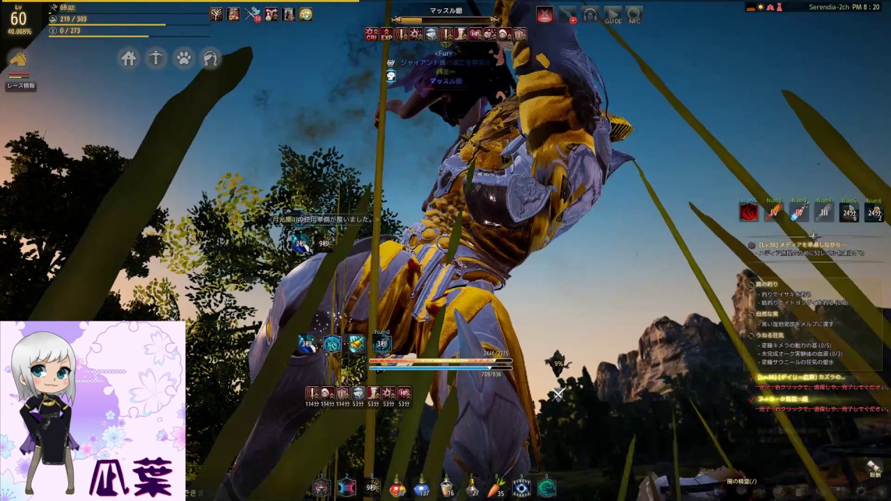 BlackDesert 黒い砂漠 Tamer awakening PvP take2