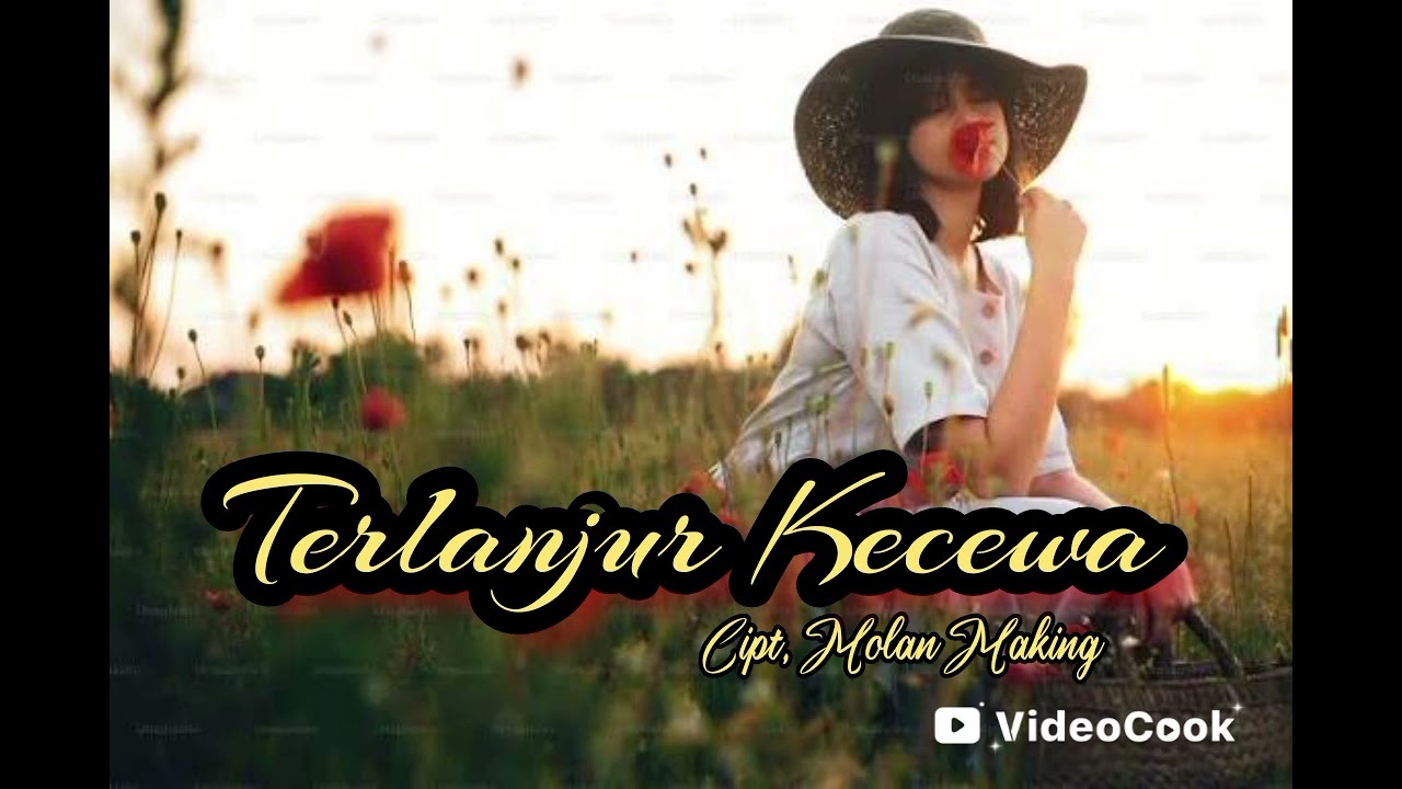 Terlanjur Kecewa || Cipt : Molan Making|| Lagu galau Timur terbaru