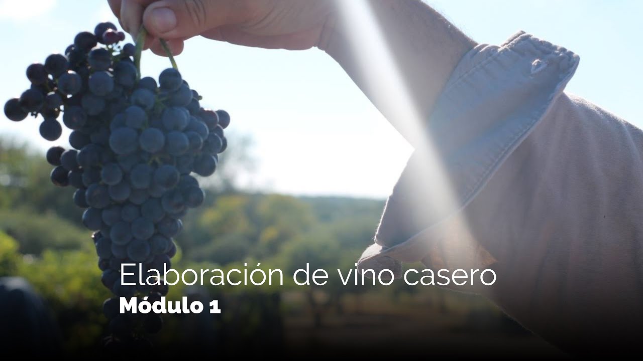 Elaboración de vino casero  - Módulo 1