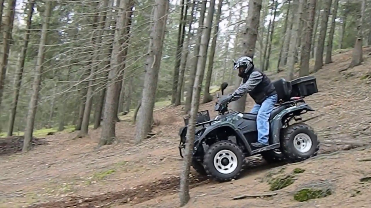 ATV Linhai 300 Dragon Fly - stahování dřeva 3
