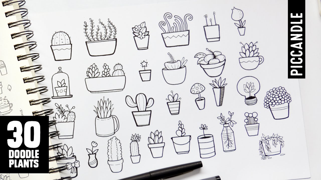 30 Plants to Doodle | Succulents, Cacti and more