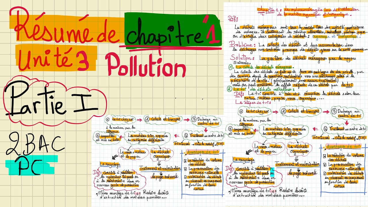 Résumé de chapitre 1 de l'unité de la POLLUTION 2BAC PC (PARTIE 1)