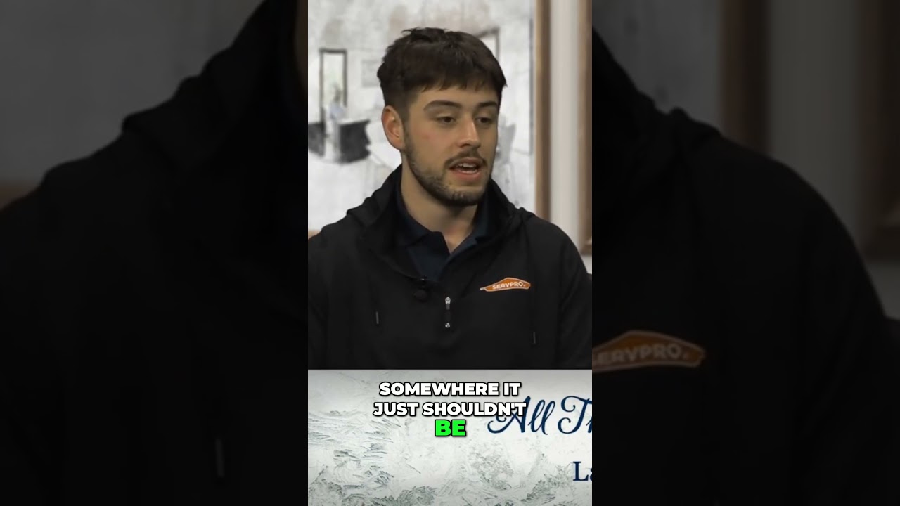 Why Pros Cut Drywall After Water Damage 