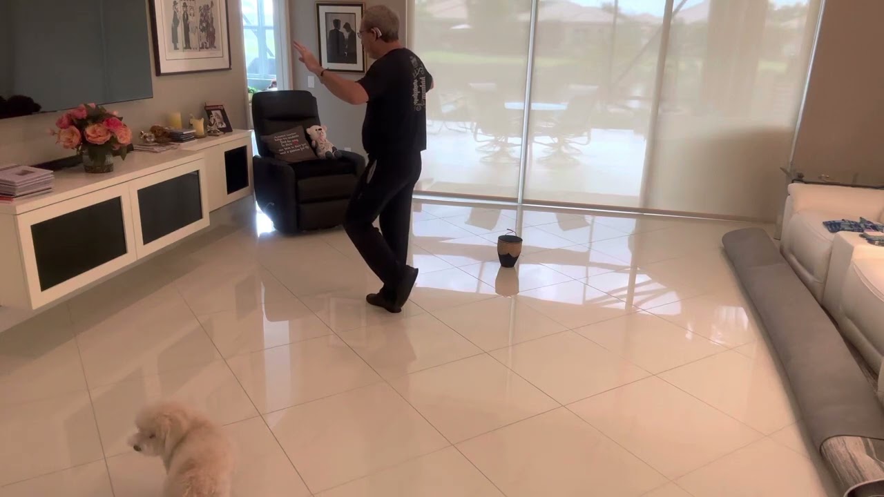 TA PEDIA TOU PIREA (Never On Sunday) Greek Dance Demo & Tutorial (Choreography by Ira Weisburd)