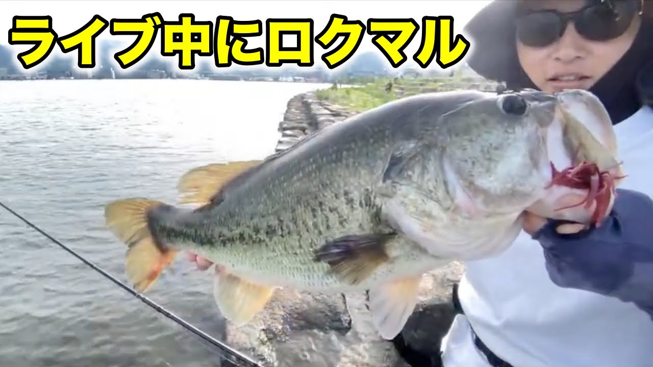 琵琶湖おかっぱりでロクマルが釣れました！（GW中）