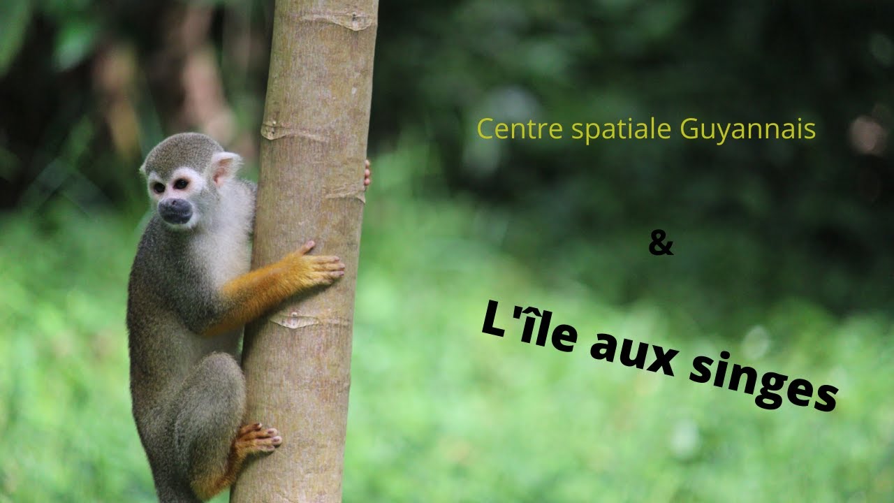 Centre spatial et l'île aux singes