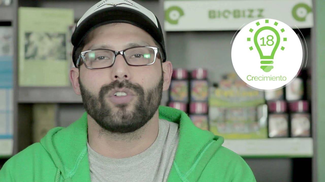 Tutorial Delaferia 101: Autoflorecientes